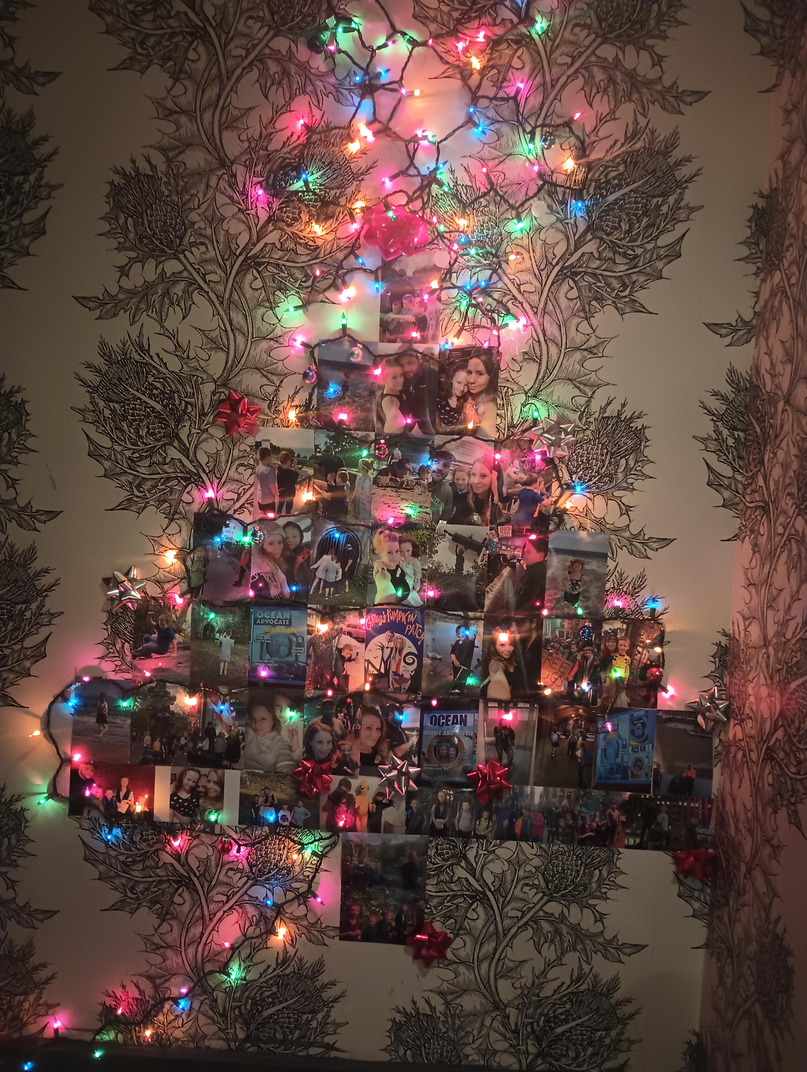 Living Christmas tree ideas