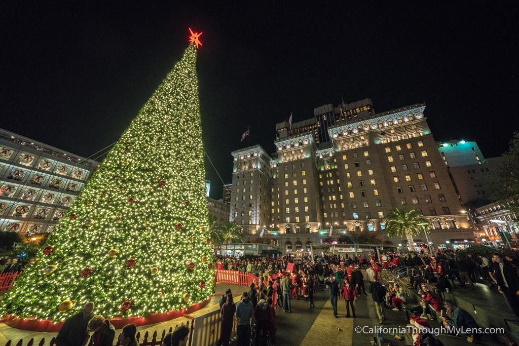 SF Christmas Tree Lighting