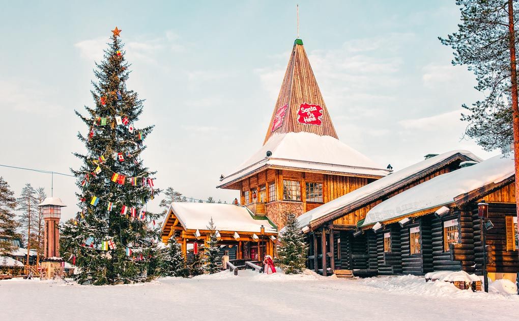 Finnish Christmas Tree Farms