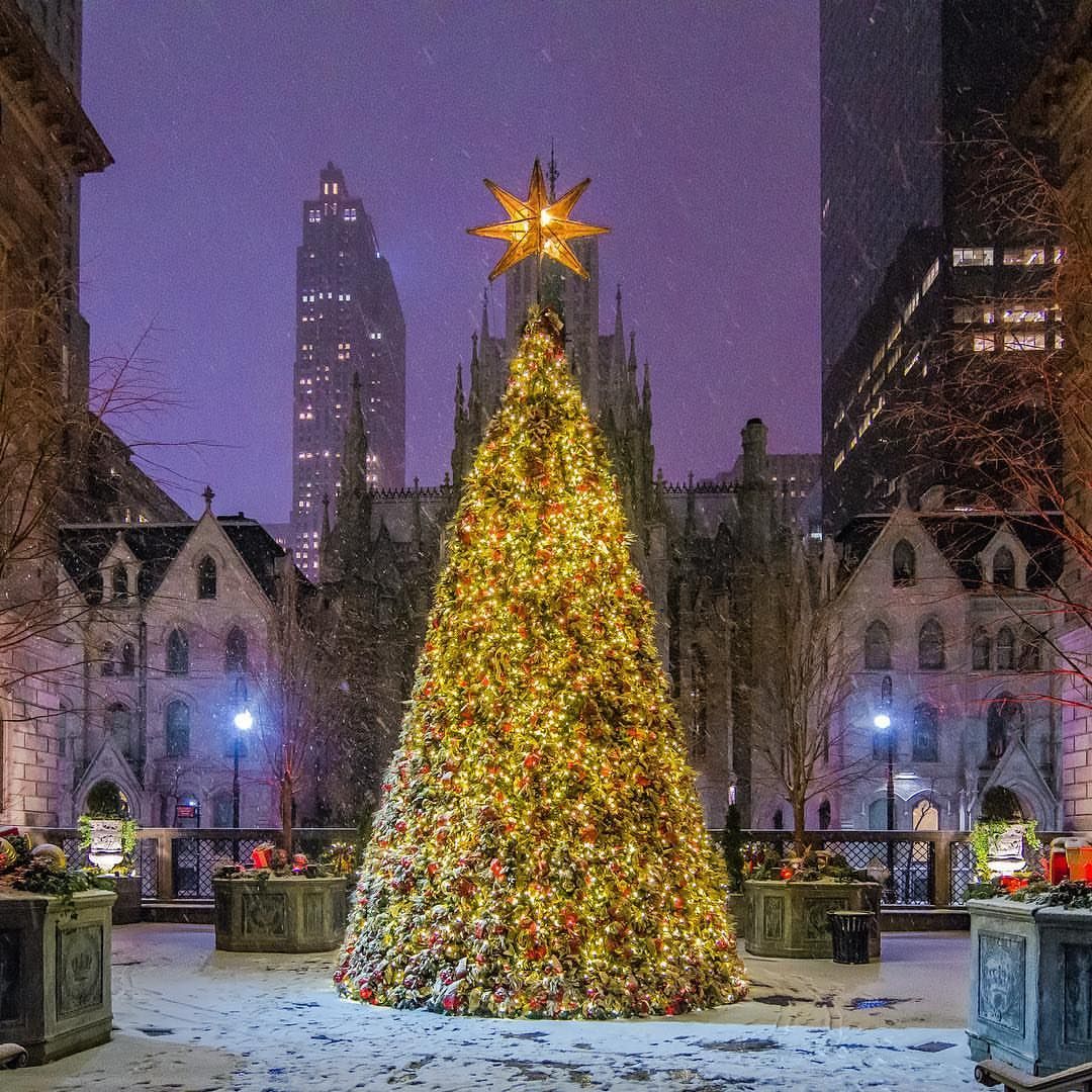 New York Christmas Tree